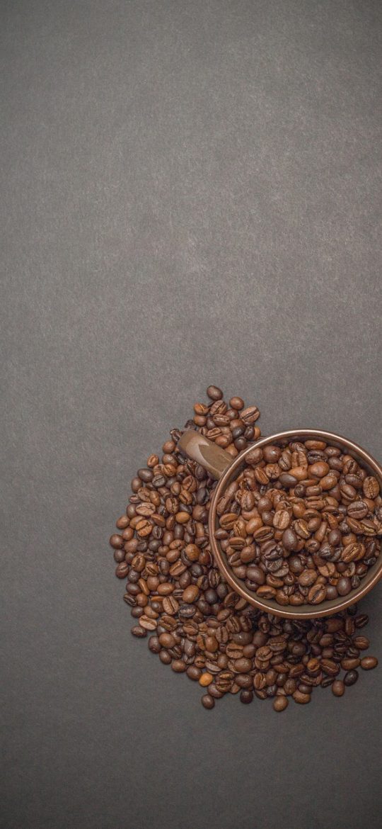 图床 App 设置页：深色界面中列出存储用量进度条、防盗链开关与允许引用域名列表，条目间距舒展